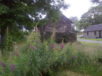 Carmarthenshire-20110731-00155.jpg