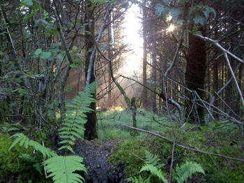 IMG-20110711-00136.jpg