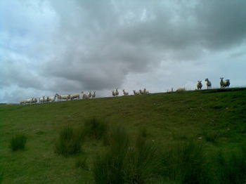Our nearest neighbours...